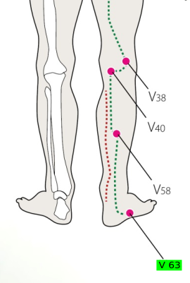 V63